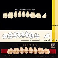Зубы EFUCERA PX Posteriors, цвет A3, фасон 34, композитные трехслойные боковые верхние, 8 штук на планке.