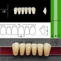 Зубы NEW ACE Anterior, цвет D3, фасон L2 акриловые двухслойные, 6 шт.