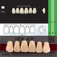 Зубы NEW ACE Anterior, цвет D2, фасон SS2 акриловые двухслойные, 6 шт.