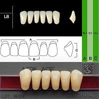 Зубы NEW ACE Anterior, цвет D3, фасон L8 акриловые двухслойные, 6 шт.