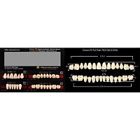 Зубы PX CROWN / EFUCERA, цвет C4, фасон T61S/N61S/34, полный гарнитур, 28шт.