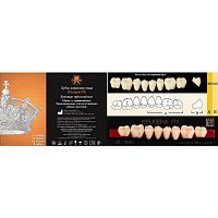 Зубы EFUCERA PX Posteriors, цвет A3.5, фасон 36, композитные трехслойные боковые нижние, 8 штук на планке.