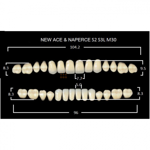 Зубы GLORIA, цвет C3, фасон S2 М30, акриловые двухслойные, полный гарнитур, 28 шт. фото 2