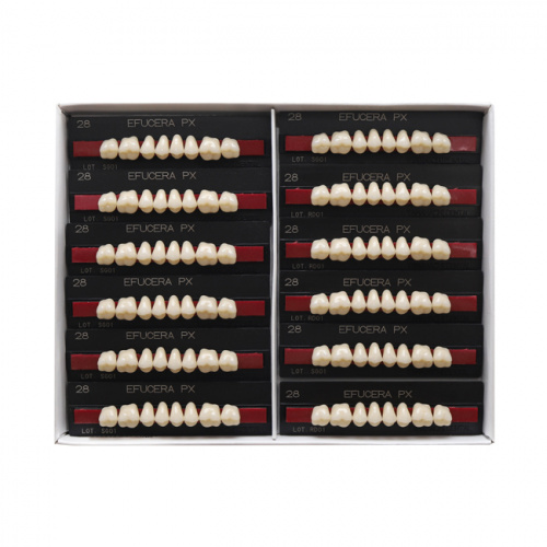 Зубы EFUCERA PX Posteriors, цвет A2, фасон 28, композитные трехслойные боковые верхние, 8 штук на планке. от Атридент фото 3