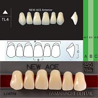 Зубы NEW ACE Anterior, цвет C4, фасон TL4 акриловые двухслойные, 6 шт. от Атридент