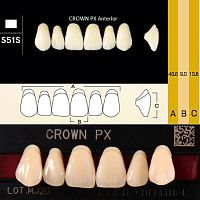 Зубы CROWN PX Anterior, цвет B2, фасон S51S композитные трехслойные, 6 шт.