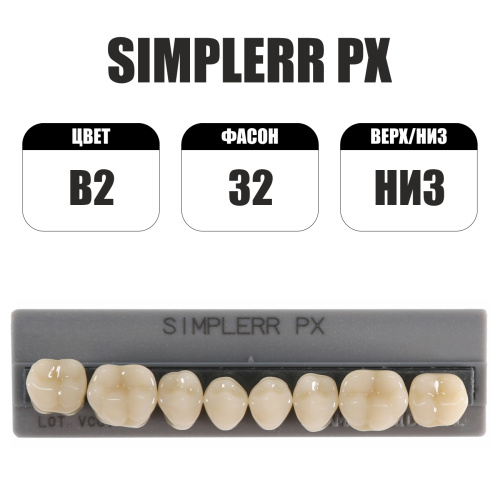 PX Simplerr Posterior боковые нижние, B2, ф. 32, зубы акриловые трехслойные, 8 шт. PX Simplerr Posterior боковые нижние, B2, ф. 32, зубы акриловые трехслойные, 8 шт. от Атридент