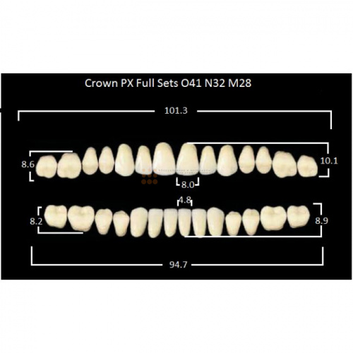 Зубы PX CROWN / EFUCERA, цвет C3, фасон O41/N32/28, полный гарнитур, 28шт. фото 2