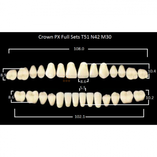 Зубы PX CROWN / EFUCERA, цвет A1, фасон T51/N42/30, полный гарнитур, 28шт. фото 2