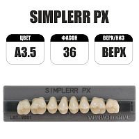 PX Simplerr Posterior боковые верхние, A3.5, ф. 36, зубы акриловые трехслойные, 8 шт.