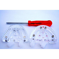 Рамка для разборной модели Die Lock Tray для артикулятора Spacy, (2шт./уп.) YDM Япония от Атридент