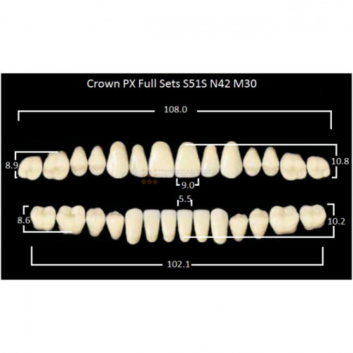 Зубы PX CROWN / EFUCERA, цвет D3, фасон S51S/N42/30, полный гарнитур, 28шт. фото 2