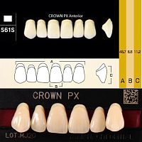 Зубы CROWN PX Anterior, цвет A3.5, фасон S61S композитные трехслойные, 6 шт.