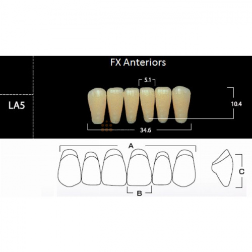 FX Anteriors - Зубы акриловые двухслойные, фронтальные нижние, цвет A4, фасон LA5, 6 шт
