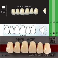 Зубы NEW ACE Anterior, цвет D4, фасон SS3 акриловые двухслойные, 6 шт.