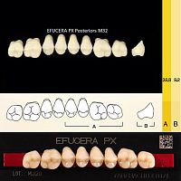 Зубы EFUCERA PX Posteriors, цвет C3, фасон 32, композитные трехслойные боковые верхние, 8 штук на планке.