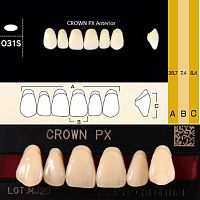 Зубы CROWN PX Anterior, цвет A4, фасон O31S композитные трехслойные, 6 шт.