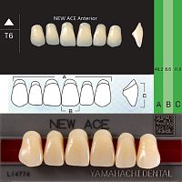 Зубы NEW ACE Anterior, цвет A1, фасон T6 акриловые двухслойные, 6 шт. от Атридент