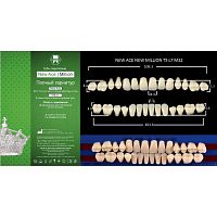 Зубы NEW ACE/NEW MILLION, цвет B1, фасон T5/L7/M32, полный гарнитур, 28шт.