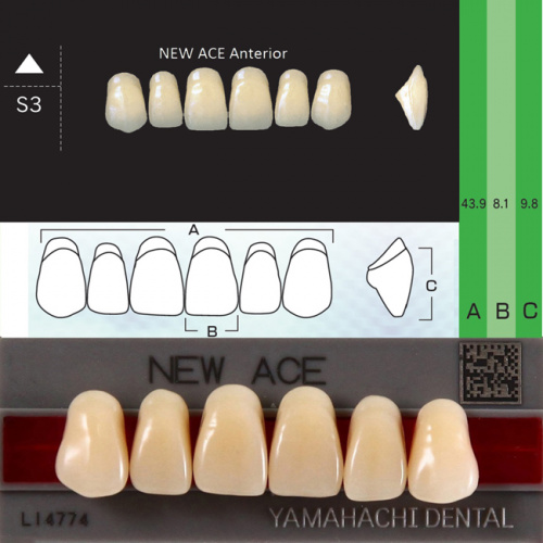 Зубы NEW ACE Anterior, цвет C2, фасон S3 акриловые двухслойные, 6 шт. от Атридент
