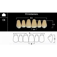FX Anteriors - Зубы акриловые двухслойные, фронтальные верхние, цвет C4, фасон C6, 6 шт