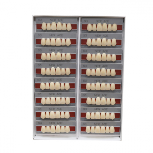 Зубы NEW ACE Anterior, цвет C2, фасон S3 акриловые двухслойные, 6 шт. от Атридент фото 3