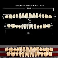 Зубы GLORIA, цвет A1, фасон T1 М30, акриловые двухслойные, полный гарнитур, 28 шт.