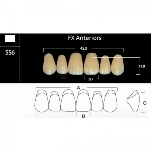 FX Anteriors - Зубы акриловые двухслойные, фронтальные верхние, цвет D3, фасон SS6, 6 шт
