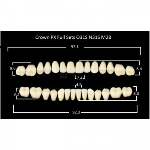 Зубы PX CROWN / EFUCERA, цвет B1, фасон O31S/N31S/28, полный гарнитур, 28шт. фото 2