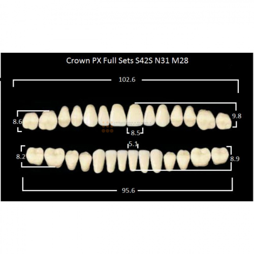 Зубы PX CROWN / EFUCERA, цвет C2, фасон S42S/N31/28, полный гарнитур, 28шт. фото 2