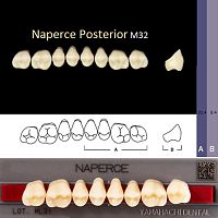 Зубы NAPERCE Posterior, цвет C4, фасон М32 акриловые двухслойные, 8 шт. от Атридент